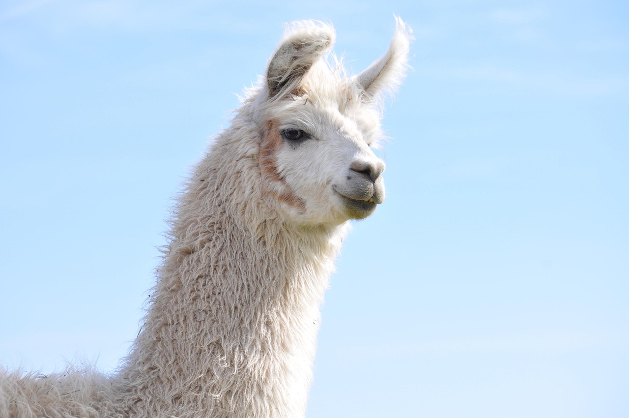 炸房器|诺基亚6122C软件详情下载教程app