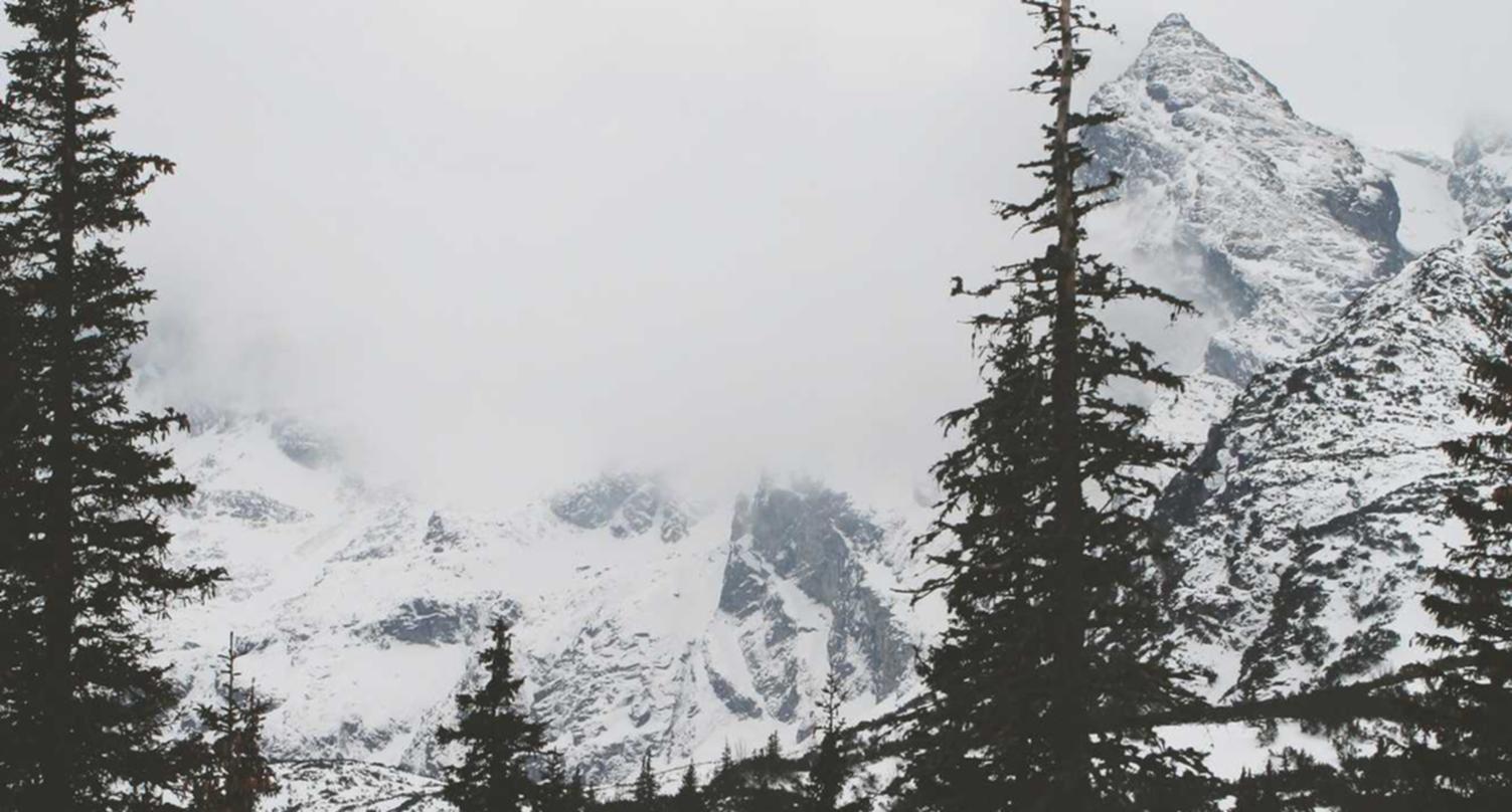 火网实名账号:网络代理销售平台