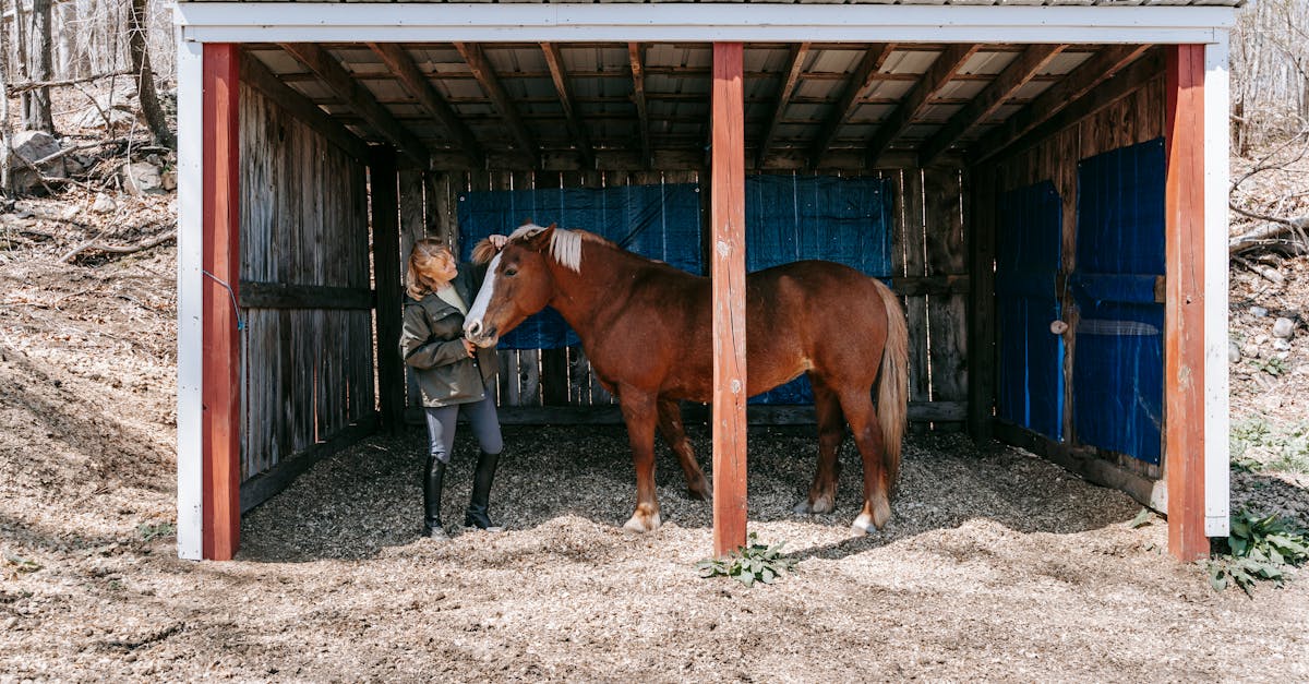 西部数码实名账号：短信营销学习手册：快速上手